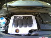 05042007.jpg