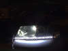 DSCF3931.jpg