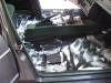 P1010010-4.jpg
