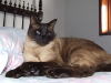 DSCF4870.jpg