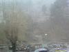 200901201410_00194.jpg