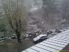 200901201417_00198.jpg
