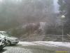 200901201605_00215.jpg