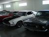 DSC00006.jpg