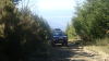 DSC01191.jpg