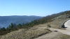 DSC01213.jpg