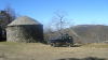 DSC01228.jpg
