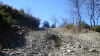 DSC01236.jpg