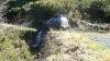 DSC01244.jpg