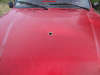 DSCF1373.jpg