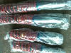 22012009313.jpg