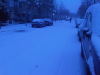 IMG00060-20101129-1632.jpg