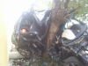 rpm0174.jpg