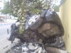 rpm0169.jpg