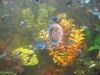 DSC04455.jpg