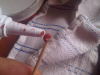 IMG00029-20110405-1622.jpg