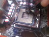IMG00033-20110405-1655.jpg