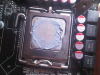 IMG00034-20110405-1904.jpg