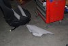 DSC_1354.jpg