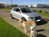 DSC01372-1.jpg