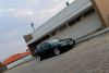 IMG_5102-Cpia.jpg