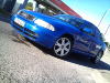 DSC00464.jpg