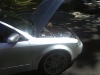 IMG_20120901_134925.jpg