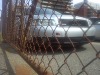 IMG_20120904_122809.jpg