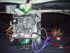 IMGP0255.jpg