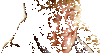 uncle%20buck%20gif_zps7nbg5tbb.gif