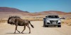 Audi-Q7-MLB-Africa-1024-960x480_zpsvq3ushom.jpg