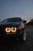 DSC_0004_zpszxbce5ey.jpg