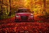 Audi A4 b8 Avant red.jpg
