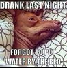 7f9c1b51b2dc7f5f412e869c2abec8a5--funny-hangover-quotes-funny-drinking-quotes.jpg