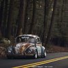 VW Bug rusty 2.jpg