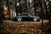 Porsche low florest.jpg