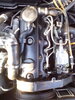 IMG_20150731_200311.jpg