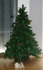68654-ebf33d9935f942036da6ea8ab14f932a.gif