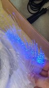 20250925_161632.jpg