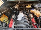 IMG_9750.jpeg