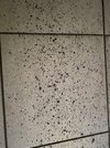 IMG_0097.jpeg