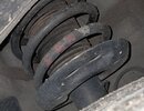 20260207_071207.jpg
