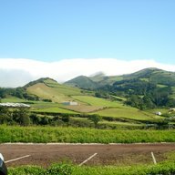 pedrolopess
